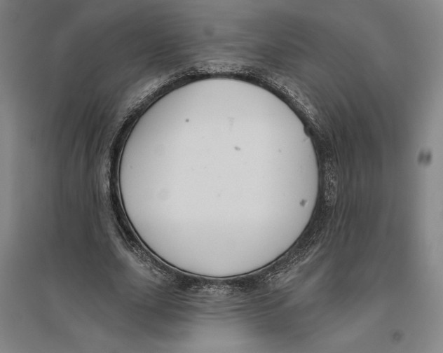 X0000096630631200802261205