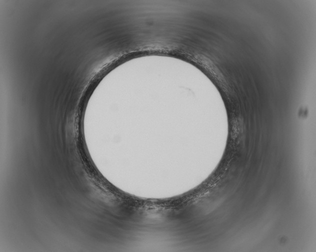 X0000096630632200802261205