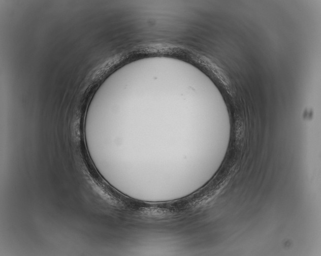 X0000096630633200802261205