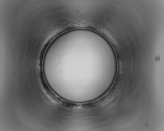 X0000096630634200802261205