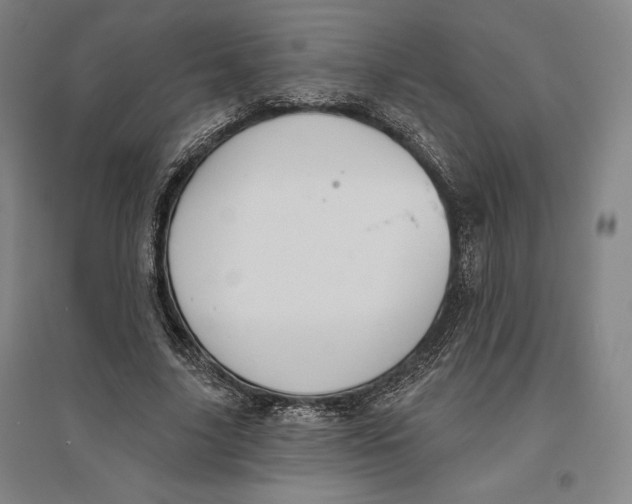 X0000096630635200802261205