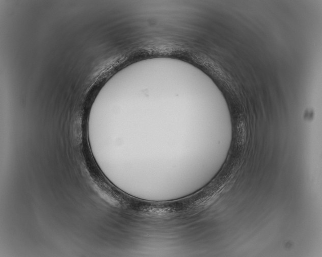 X0000096630638200802261205