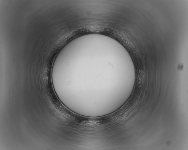 X0000096630639200802261205