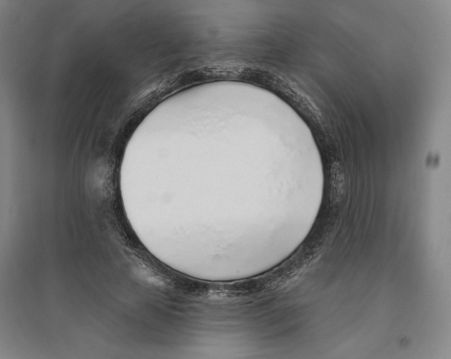 X0000096630641200802261205