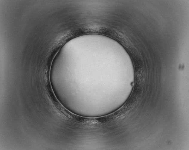 X0000096630642200802261205