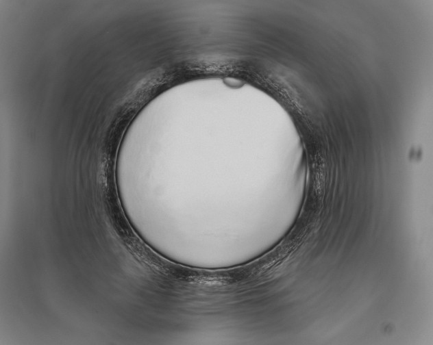 X0000096630643200802261205