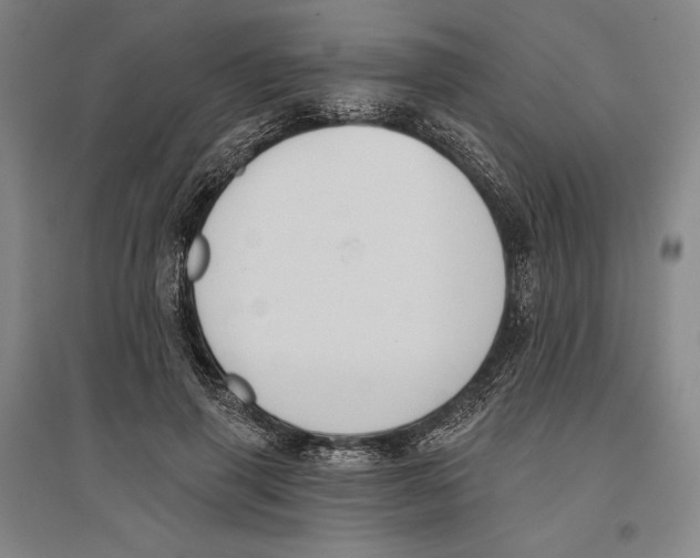 X0000096630645200802261205