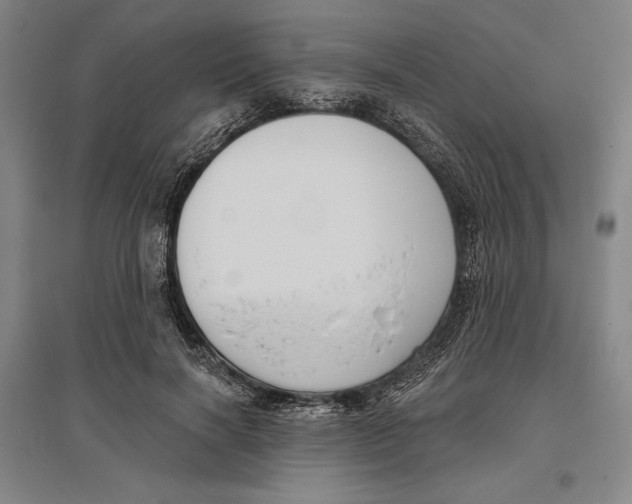 X0000096630646200802261205