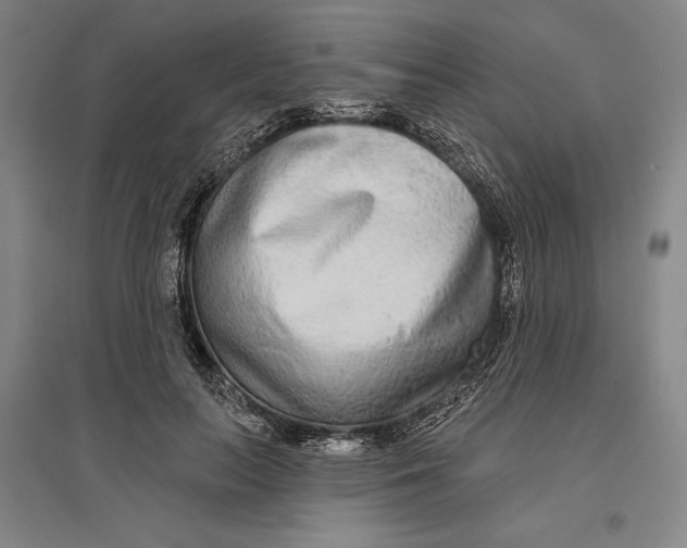 X0000096630647200802261205