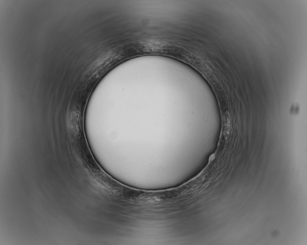 X0000096630648200802261205