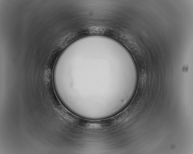 X0000096630649200802261205