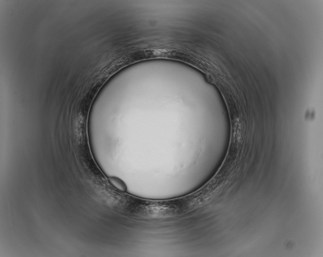 X0000096630650200802261205