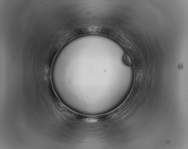 X0000096630651200802261205