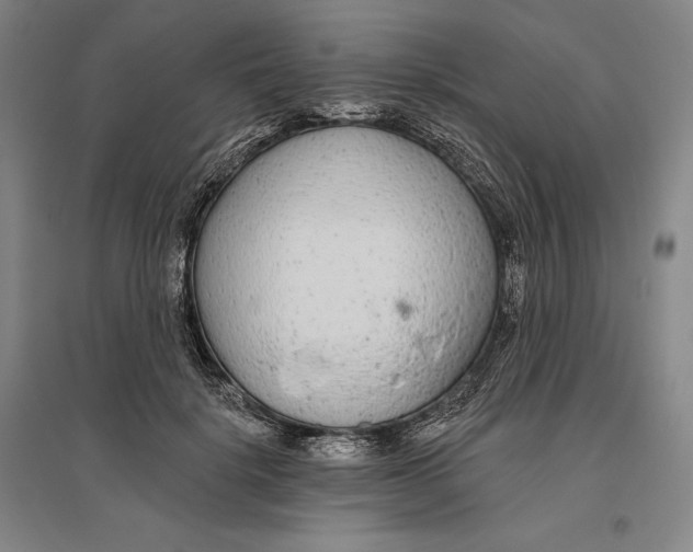 X0000096630652200802261205