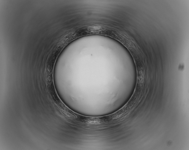 X0000096630653200802261205