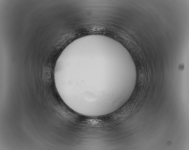 X0000096630654200802261205