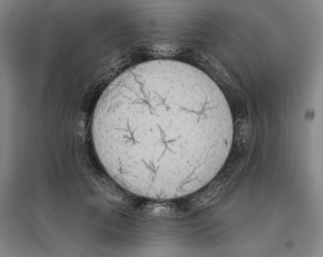 X0000096630655200802261205