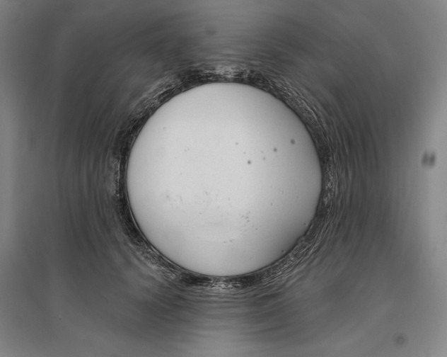 X0000096630656200802261205