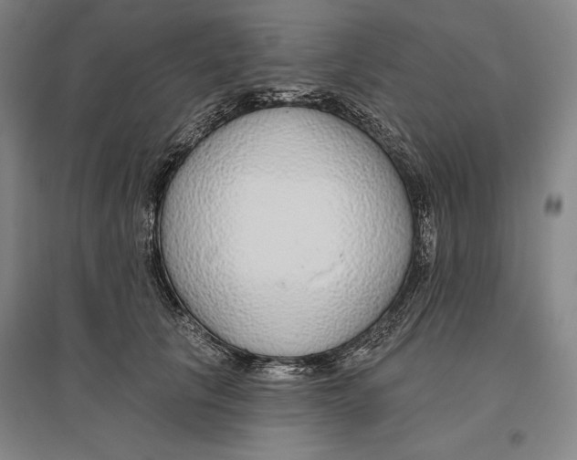 X0000096630657200802261205