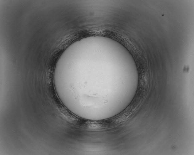 X0000096630658200802261206