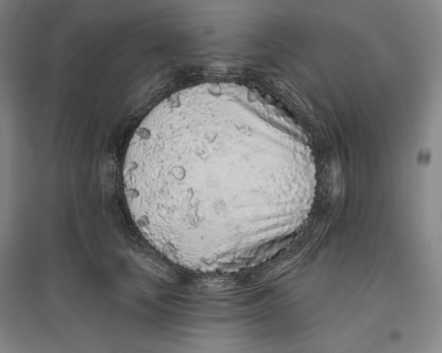 X0000096630659200802261206