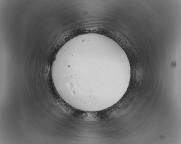 X0000096630660200802261206