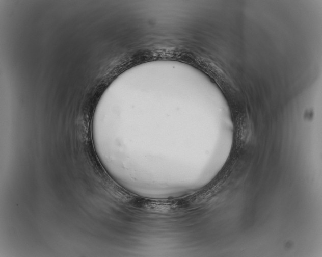 X0000096630661200802261206