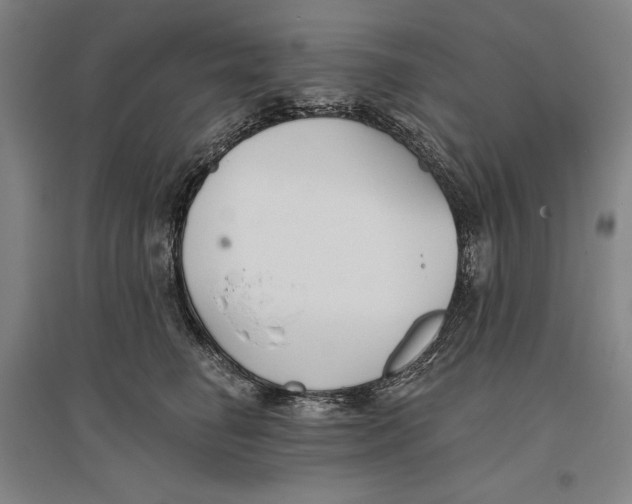 X0000096630662200802261206