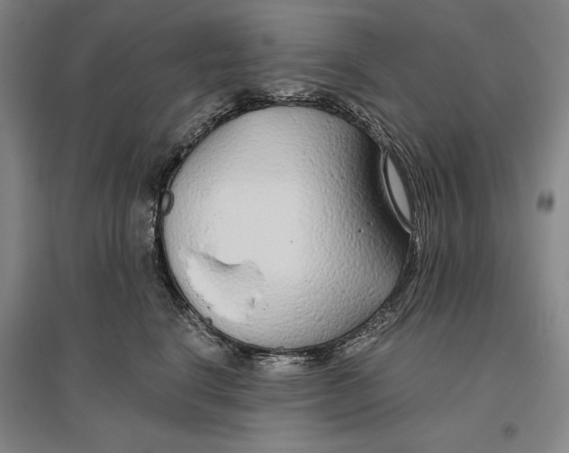 X0000096630664200802261206