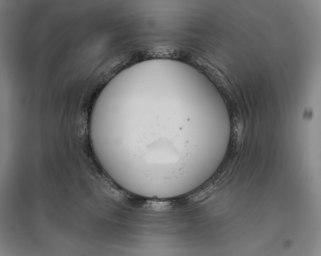 X0000096630665200802261206