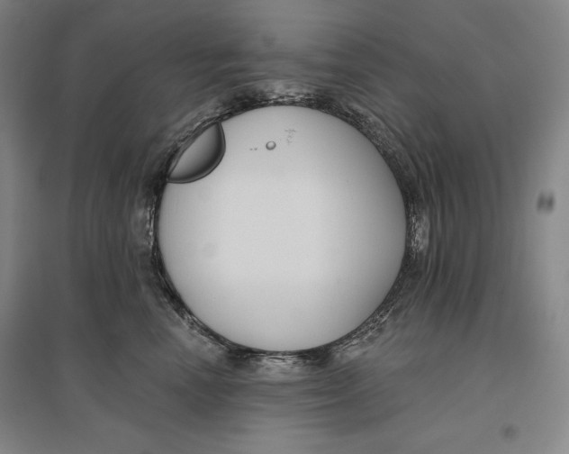 X0000096630666200802261206