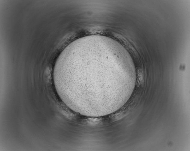 X0000096630667200802261206