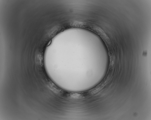 X0000096630669200802261206