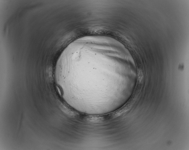 X0000096630670200802261206