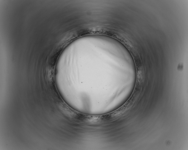 X0000096630671200802261206