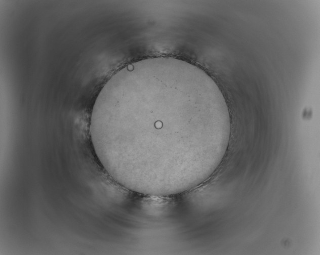 X0000096630672200802261206