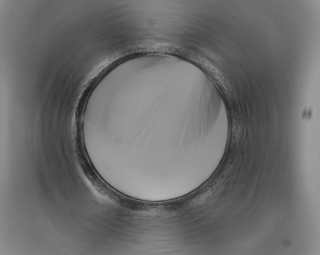 X0000096630674200802261205