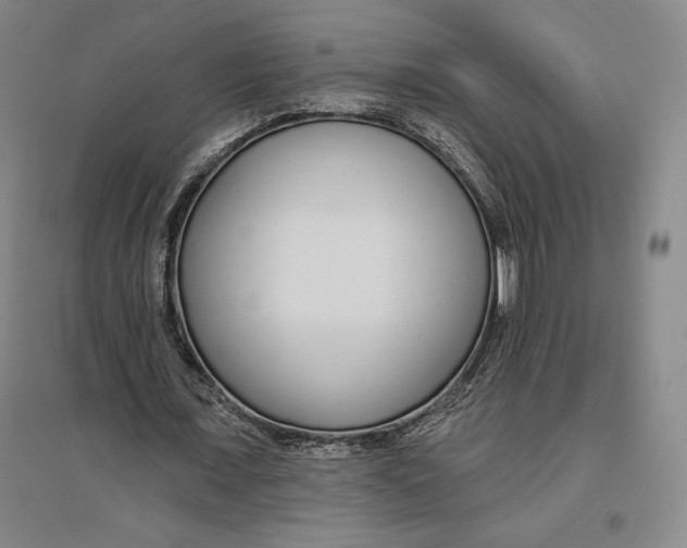 X0000096630675200802261205