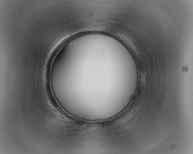 X0000096630676200802261205