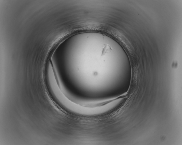 X0000096630677200802261205