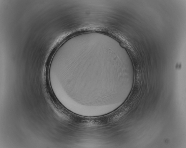 X0000096630678200802261205