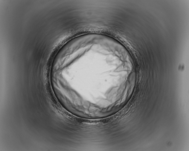 X0000096630679200802261205