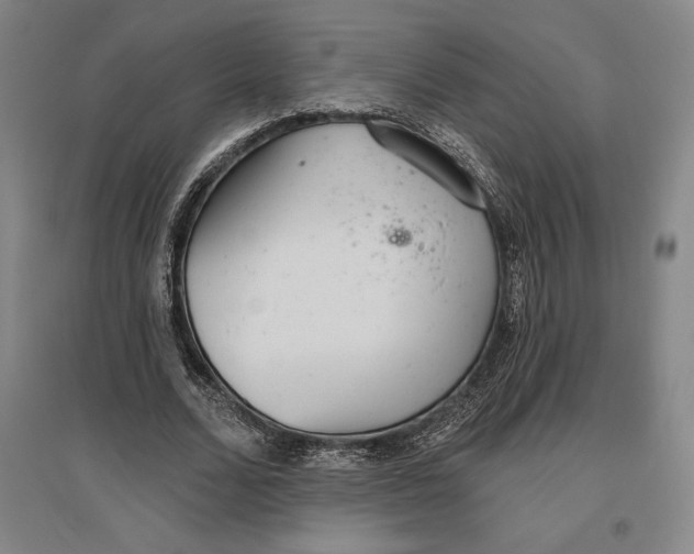 X0000096630680200802261205