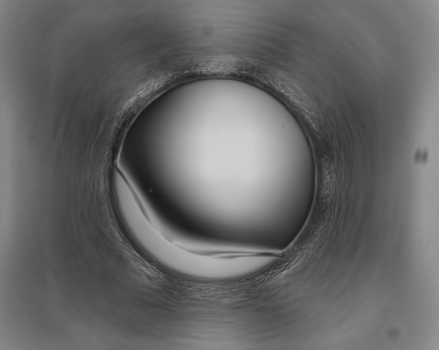 X0000096630681200802261205