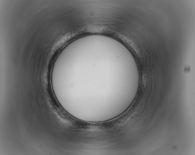 X0000096630682200802261205