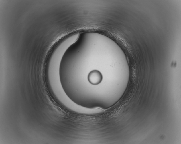 X0000096630684200802261205