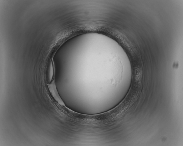 X0000096630685200802261205