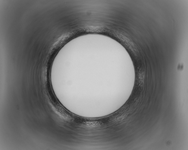 X0000096630686200802261205