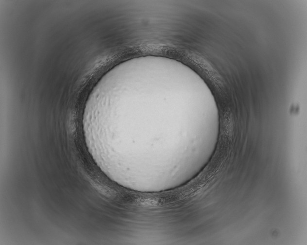 X0000096630687200802261205