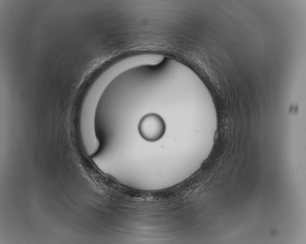 X0000096630688200802261205